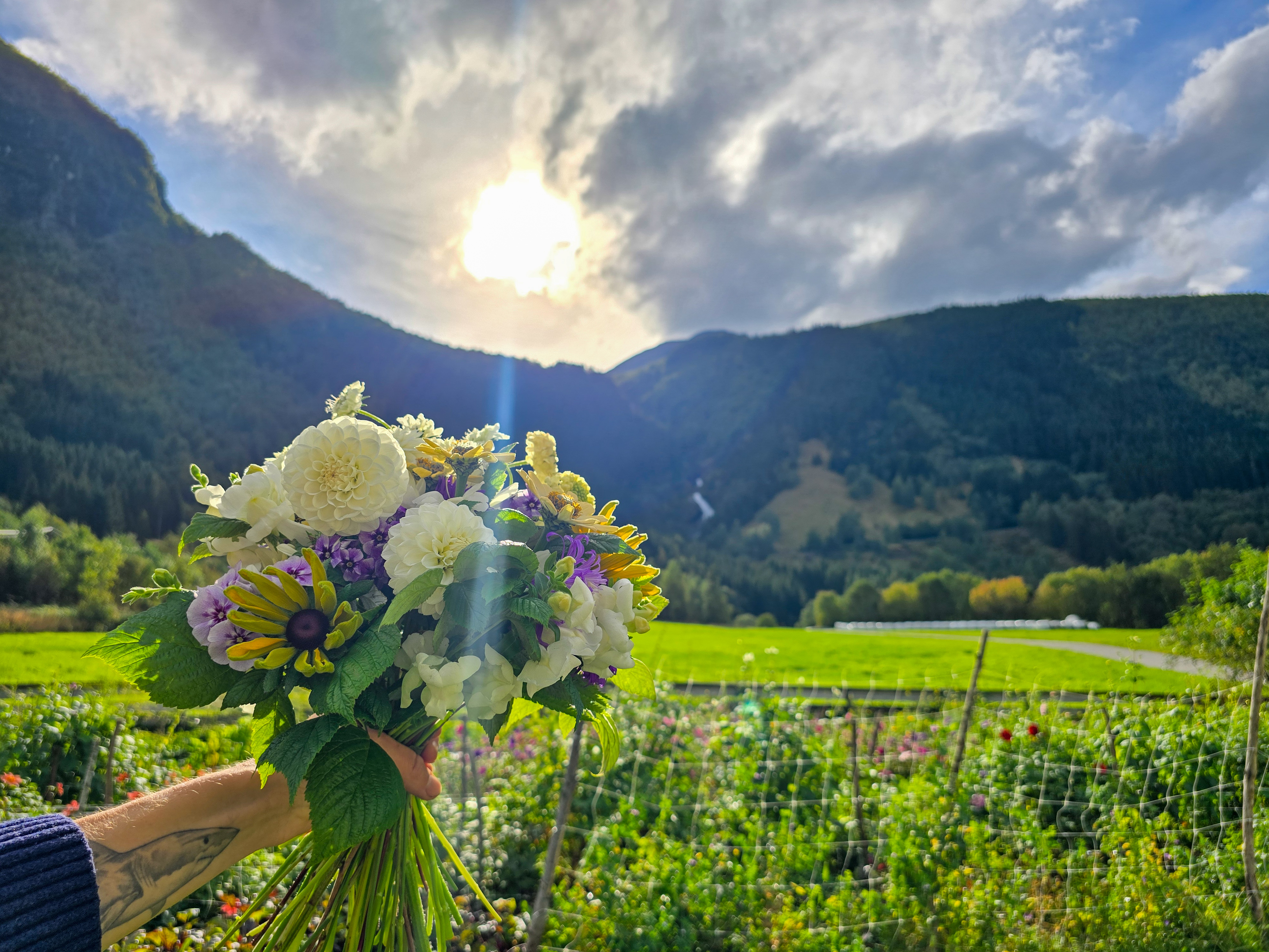Den frodige hagen i Norddal