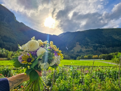 Den frodige hagen i Norddal